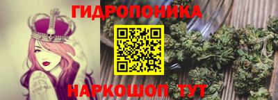 соль ск Кохма