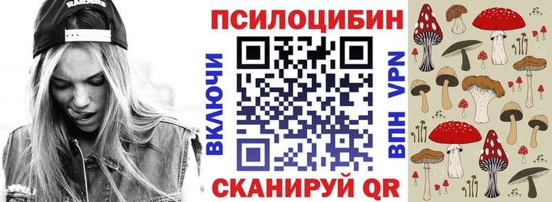 Псилоцибиновые грибы Cubensis  Тутаев 
