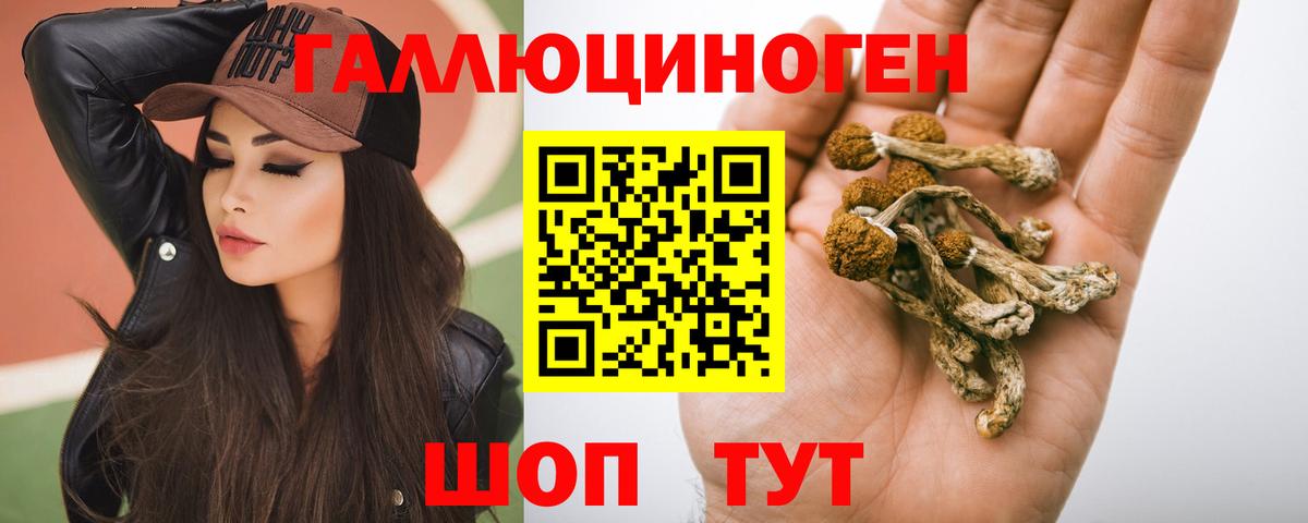 Псилоцибиновые грибы Psilocybe Тутаев