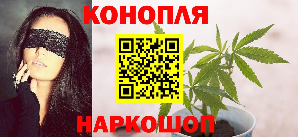 Канабис семена Тутаев